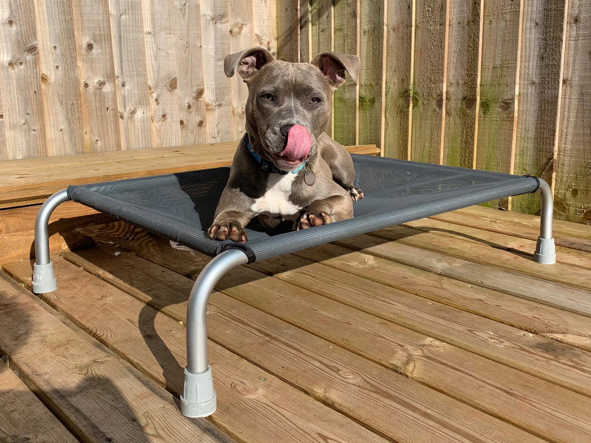 Mesh Hundeliegen HiK9 Deutschland